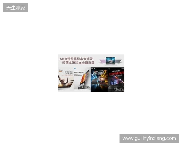 锐龙9高端游戏本达成百万销量 京东“超级供应链”成AMD 增长强引擎 锐龙9高端游戏本达成百万销量 京东“超级供应链”成AMD 增长强引擎